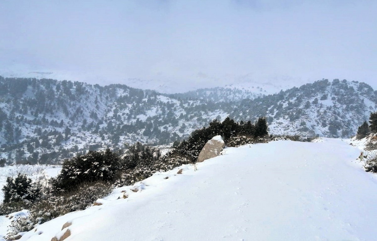 Antalya'nın yüksek kesimlerinde kar etkili oldu