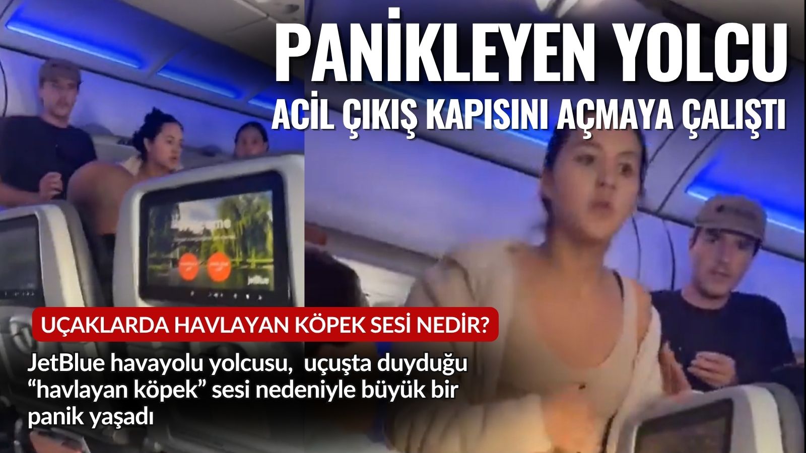 jetblue-yolcusu-a320deki-havlayan-kopek-sesini-ariza-sanarak-panikledi