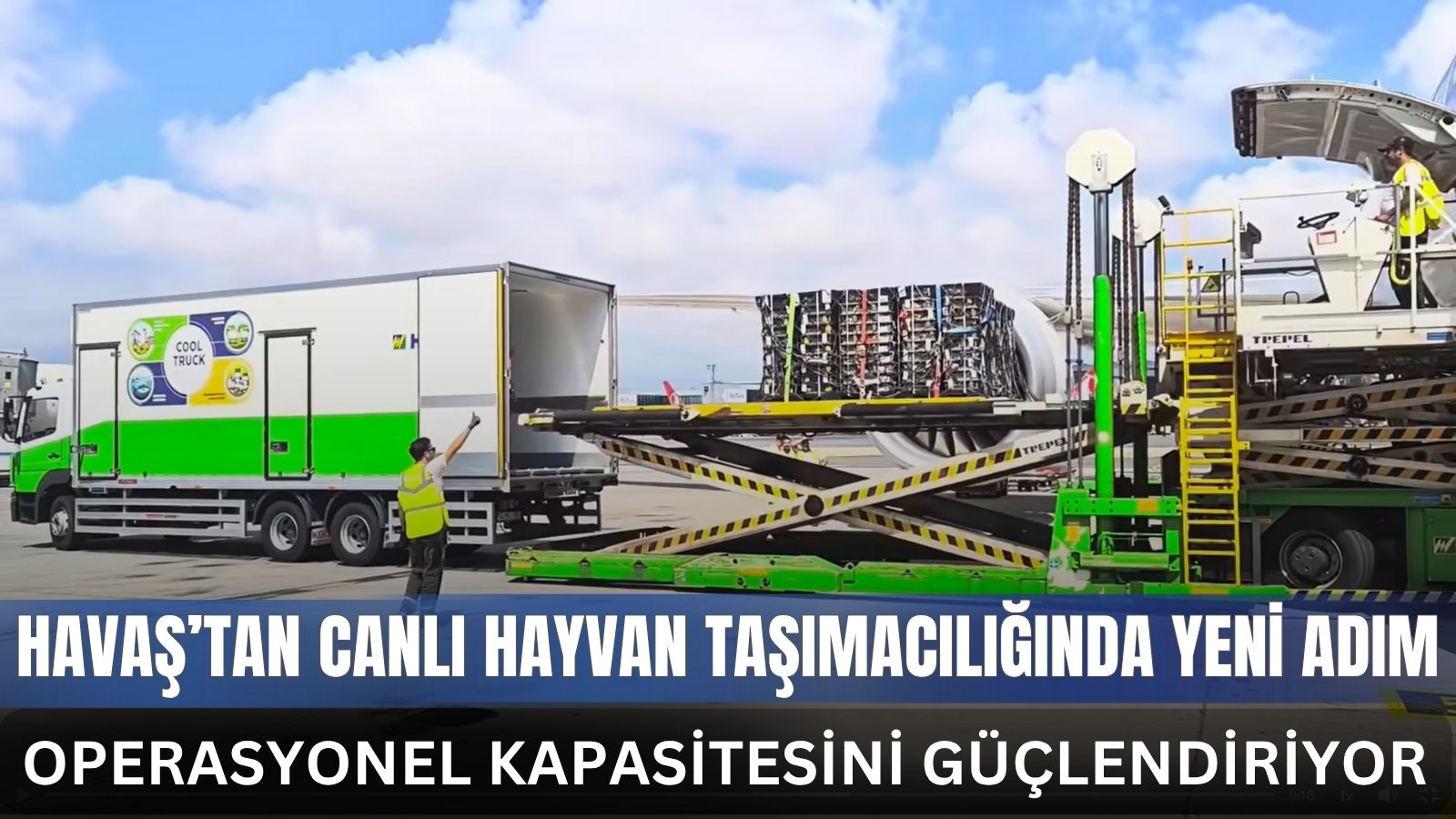 havas-canli-hayvan-lojistiginde-operasyonel-kapasitesini-guclendiriyor