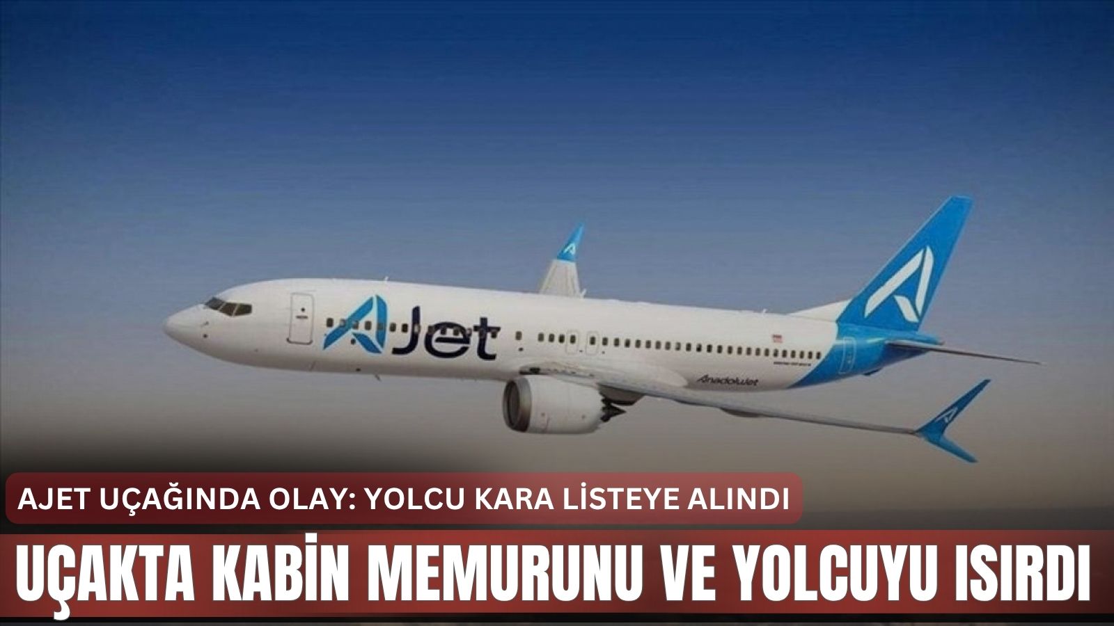 ajet-ucaginda-olay-kabin-memurunu-ve-yolcuyu-isirdi
