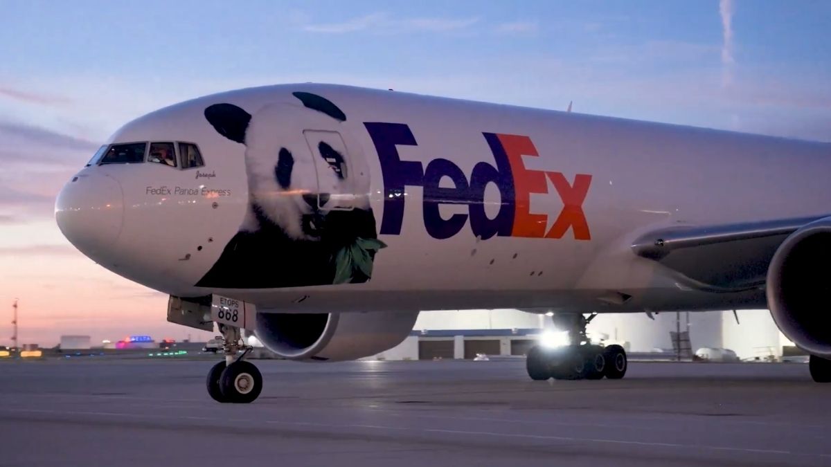 boeing-777-kargo-ucagiyla-cinden-abdye-iki-dev-panda-tasindi